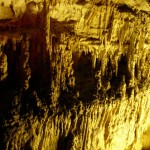 042_800x600 042_800x600