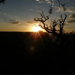 061_800x600 061_800x600