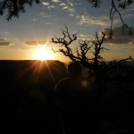 063_800x600 063_800x600