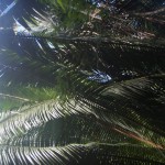 087-desktop-resolution