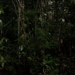 089-desktop-resolution