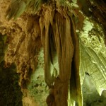 098_800x600 098_800x600