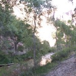 105_450x600 105_450x600
