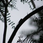 108_800x600 108_800x600
