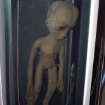 alien alien