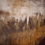 carlsbad-caverns carlsbad-caverns