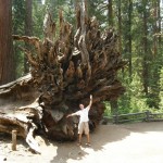 chris-and-fallen-tree chris-and-fallen-tree