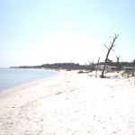 dauphin-island
