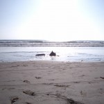 file0000051-desktop-resolution