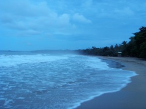 playa cochles