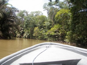 RIDING AROUND IN A BOAT